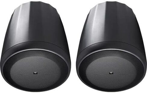 C65P&T-WH Full-Range Satellite Pendant Speaker - Black in Saudi Arabia