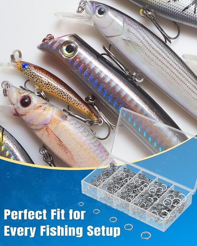 Pawfly 250 PCS حلقات مقسمة وحلقات حلقة مقسمة لصيد الأسماك ، 5 أحجام حلقات مقسمة الصيد وخلايا الصيد ، حلقات مقسمة الفولاذ المقاوم للصدأ للمياه المالحة والمياه العذبة ، موصلات صيد الأسماك in Saudi Arabia