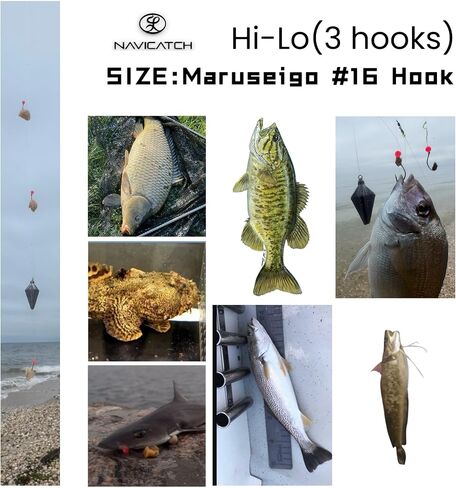 USA-Designed Bottom Fishing Rig Kit – Hand-Tied Hooks Made in USA – Saltwater & Freshwater with Japanese Hooks, PE Line & Weights – Catfish, Flounder, Cod, Walleye, Porgy, Sea Bass, Striper, Redfish in Saudi Arabia