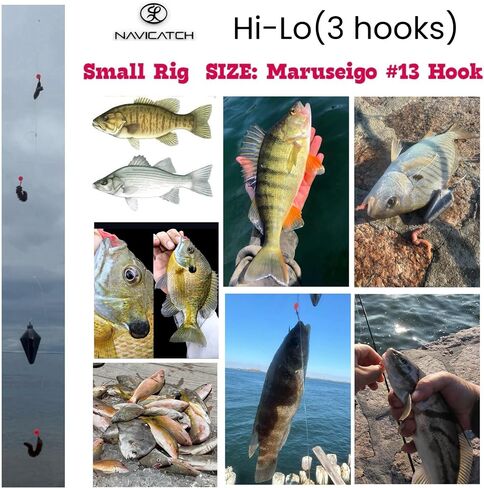 USA-Designed Bottom Fishing Rig Kit – Hand-Tied Hooks Made in USA – Saltwater & Freshwater with Japanese Hooks, PE Line & Weights – Catfish, Flounder, Cod, Walleye, Porgy, Sea Bass, Striper, Redfish in Saudi Arabia