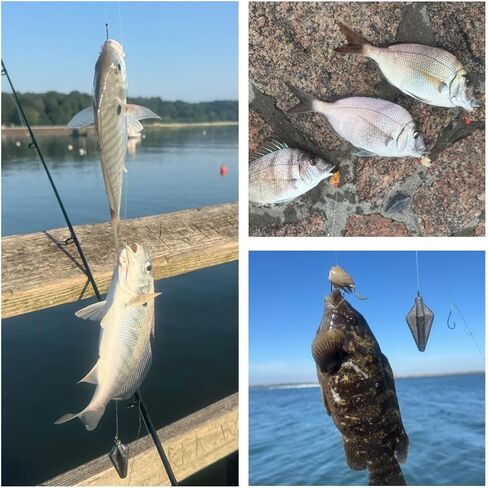 USA-Designed Bottom Fishing Rig Kit – Hand-Tied Hooks Made in USA – Saltwater & Freshwater with Japanese Hooks, PE Line & Weights – Catfish, Flounder, Cod, Walleye, Porgy, Sea Bass, Striper, Redfish in Saudi Arabia