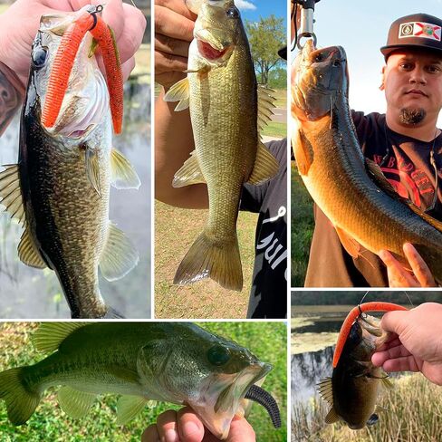 4"/5" Senko Worms Kit, Salt Impregnated Soft Plastic Lures | 30/50/78/100 Wacky Worms for Bass Fishing, Freshwater & Saltwater Applications,Artificial fishing bait in Saudi Arabia