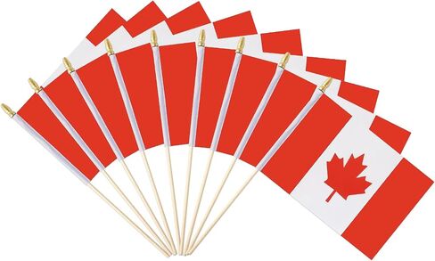 12 Pack French Flags on Sticks France Small Mini Hand Held Flags for Office Classroom Holiday Party Decorations in Saudi Arabia