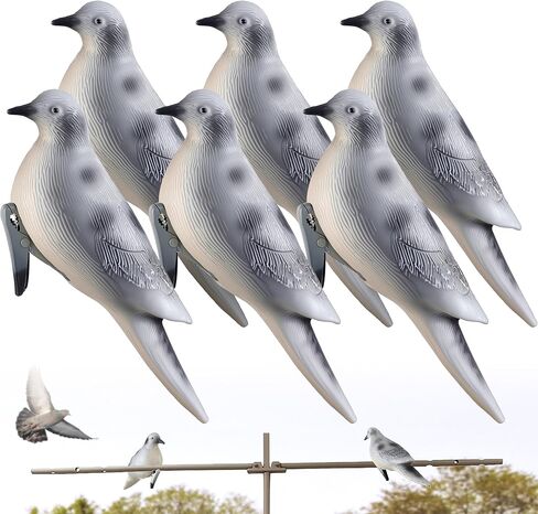 Bucherry 6 Pack Outdoors Dove Devs ، Dove Hunting Defe مع مقاطع ومواد متينة للمانعة للتسلية لصيد الحمام والسيطرة على الطيور in Kuwait