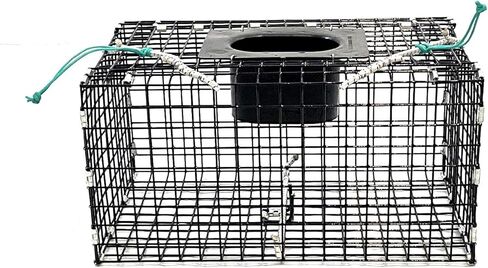 Ketcham Supply PVC Coated Wire Mesh Small Green Crab Trap in Saudi Arabia