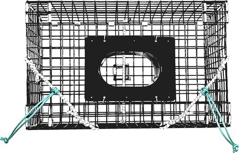 Ketcham Supply PVC Coated Wire Mesh Small Green Crab Trap in Saudi Arabia