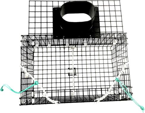 Ketcham Supply PVC Coated Wire Mesh Small Green Crab Trap in Saudi Arabia