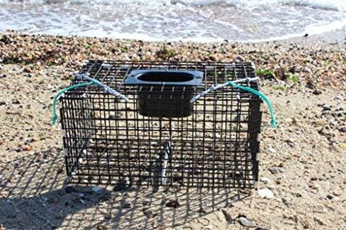 Ketcham Supply PVC Coated Wire Mesh Small Green Crab Trap in Saudi Arabia