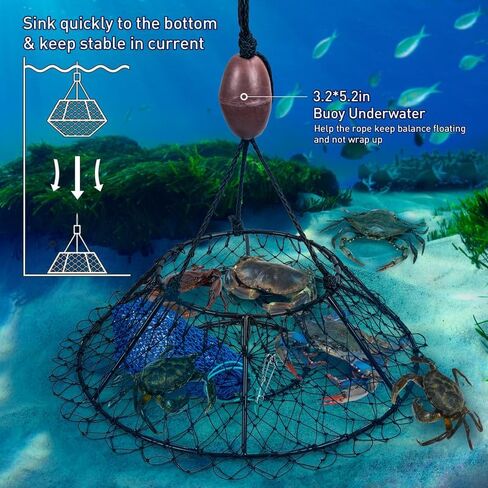 Qualyqualy Crab Ring Trap Net ، Ring Crab Kit Robster Hoop ، قفص سرطان البحر المطوي المحمولة ، وملحقات سرطان البحر مع الطعم ، شبكات السلطعون الثقيلة لسرطان البحر in Kuwait