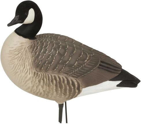 Avery GHG Hunter Series Canada Goose Full Body Pack Decoys | Choose Feeder or Harvester Pack in Saudi Arabia