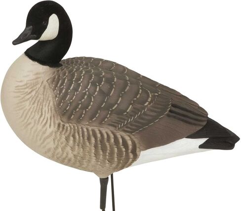 Avery GHG Hunter Series Canada Goose Full Body Pack Decoys | Choose Feeder or Harvester Pack in Saudi Arabia