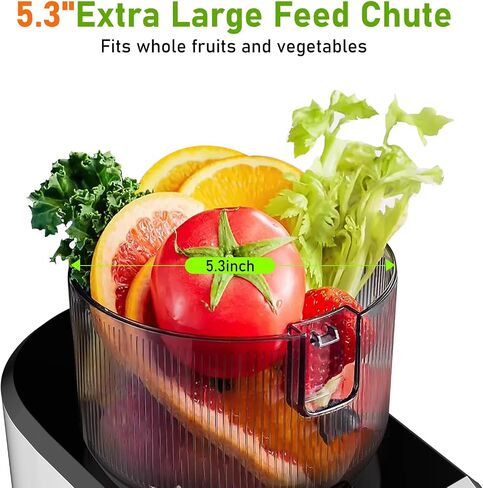 CFR606 Juicer Machines,Cold Press Juicer.Touch Sensing Function,Double Filter Screen,5.3"Wide Feed Chute,350W Slow Masticating Juicer for Whole Vegetables & Fruits,Easy to Clean(Pearl White) in Saudi Arabia