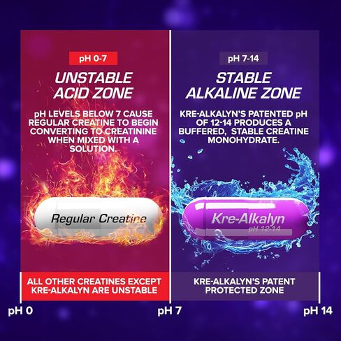 مسحوق EFX Sports Kre-Alkalyn EFX | مكمل مسحوق الكرياتين مونوهيدراتي الصحيح لدرجة الحموضة | القوة ونمو العضلات والأداء | 66 حصة (بدون نكهة) in Kuwait