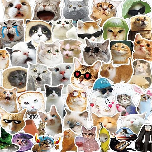 Kathy & Jiggs 100 Funny Cat Meme Stickers - شارات الفينيل المضادة للماء (2-3 بوصة) للمجلة ، الكمبيوتر المحمول ، زجاجة ماء ، لوح التزلج ، الأمتعة - هدية Kawaii للأطفال ، المراهقين ، البالغين in Kuwait