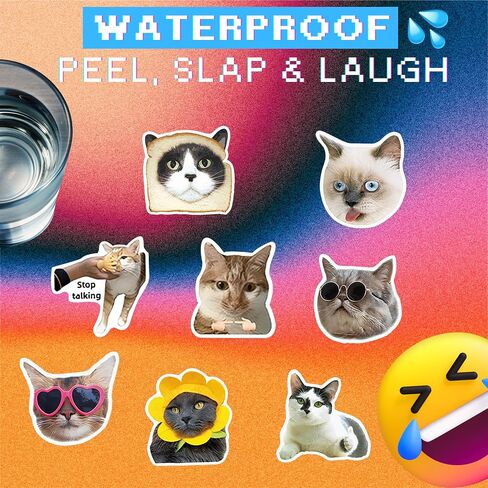 Kathy & Jiggs 100 Funny Cat Meme Stickers - شارات الفينيل المضادة للماء (2-3 بوصة) للمجلة ، الكمبيوتر المحمول ، زجاجة ماء ، لوح التزلج ، الأمتعة - هدية Kawaii للأطفال ، المراهقين ، البالغين in Kuwait