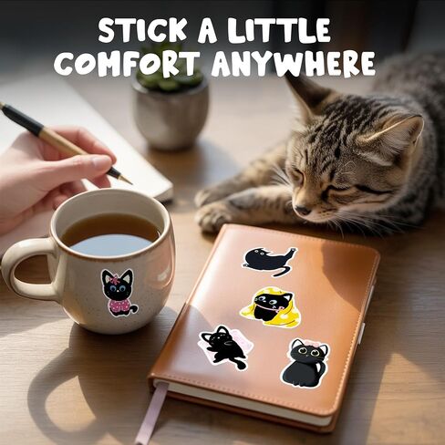 Kathy & Jiggs 100 Funny Cat Meme Stickers - شارات الفينيل المضادة للماء (2-3 بوصة) للمجلة ، الكمبيوتر المحمول ، زجاجة ماء ، لوح التزلج ، الأمتعة - هدية Kawaii للأطفال ، المراهقين ، البالغين in Kuwait
