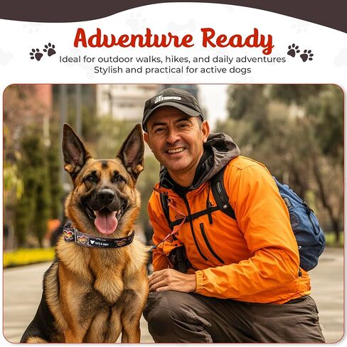 Tooth and Honey Pitbull 1.5 Mountain Sunset Martingale Collar (Pink Mountain Print) in Kuwait