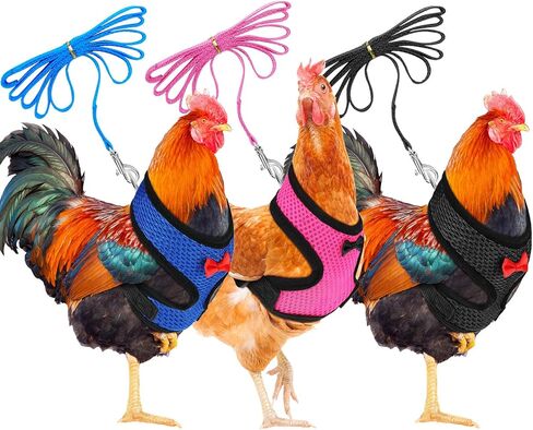 Boao 3 Pieces Adjustable Chicken Harness with Leash and Matching Belt, Comfortable Hen Vest Breathable Chicken Training Harness for Chicken, Duck or Goose, Pet (Blue, Black, Purple,S) in Saudi Arabia
