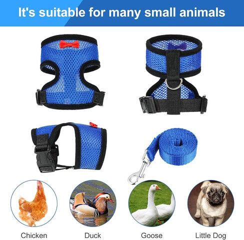 Boao 3 Pieces Adjustable Chicken Harness with Leash and Matching Belt, Comfortable Hen Vest Breathable Chicken Training Harness for Chicken, Duck or Goose, Pet (Blue, Black, Purple,S) in Saudi Arabia