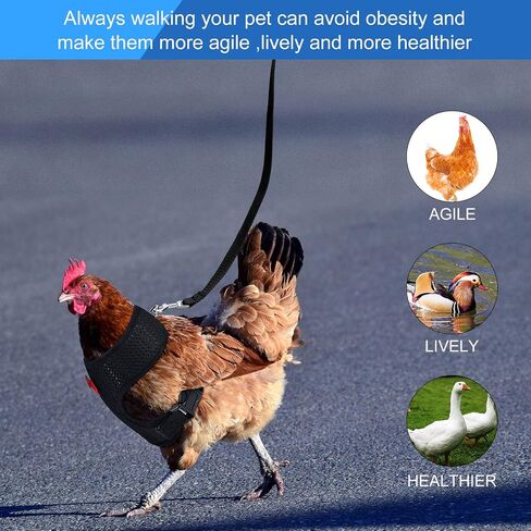 Boao 3 Pieces Adjustable Chicken Harness with Leash and Matching Belt, Comfortable Hen Vest Breathable Chicken Training Harness for Chicken, Duck or Goose, Pet (Blue, Black, Purple,S) in Saudi Arabia