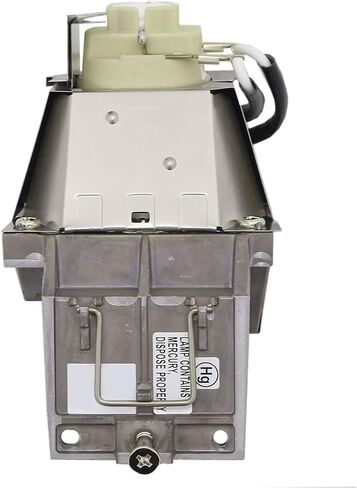 Jaspertronics ™ OEM RLC -117 LAMP & HOUBCTION لأجهزة العرض ViewSonic مع مواصفات أصلية ومصباح كامل العمر داخل - 1 سنة ضمان in Kuwait