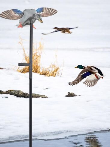 11.3ft في الهواء الطلق قطب البط شرك ، أعمال الصيد مع شركان جناح الغزل ، وملحقات الصيد البط ، لا يتم تضمين أفخور البط in Kuwait