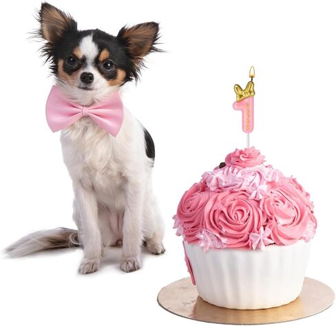 11 Pieces 2 Birthday Candle Girl Pink Number Birthday Cake Topper 2 Years Old Birthday Candle with White Dot Birthday Long Candles for Cake Topper Birthday Baking Decor Supplies, 2 Styles() in Kuwait