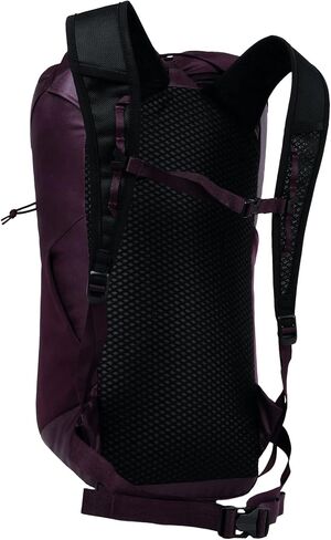 Blue Ice Dragonfly 26L Pack - Tapestry in Kuwait