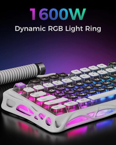 GravaStar Mercury V75 HE Keyboard, 75% Hall‑Effect Magnetic Switch Gaming Keyboard, 8000 Hz Polling, 0.005RT, Wired USB-C, RGB Backlit, Adjustable Actuation, Semi‑Aluminum Chassis-Stealth Black in Saudi Arabia