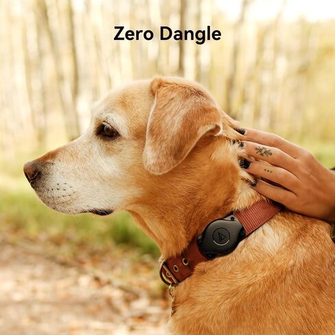for Airtag Dog Collar Holder 2 Pack,IPX8 Waterproof for air Tags-2 Pack,for Apple GPS Tracker Accessories丨Compatible with Apple AirTags丨Fits≤ 1.2" Width Collar for Dog cat Pets. in Kuwait