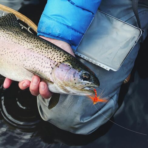 Goture Fly Fishing Flies Kit, 30pcs Dry Wet Flies Streamers Nymphs Fly Fishing Lures Assortment Kit for Bass Trout Steelhead Salmon, Gifts for Men in Saudi Arabia
