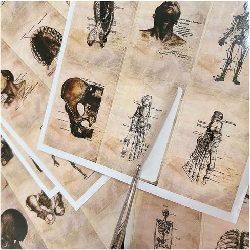 100Pcs Album Cover Stickers for Teens - Music, Rapper and Band Stickers for Adults Car Decals Water Bottle Laptop in Saudi Arabia