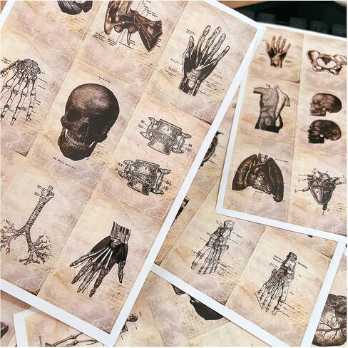 100Pcs Album Cover Stickers for Teens - Music, Rapper and Band Stickers for Adults Car Decals Water Bottle Laptop in Saudi Arabia