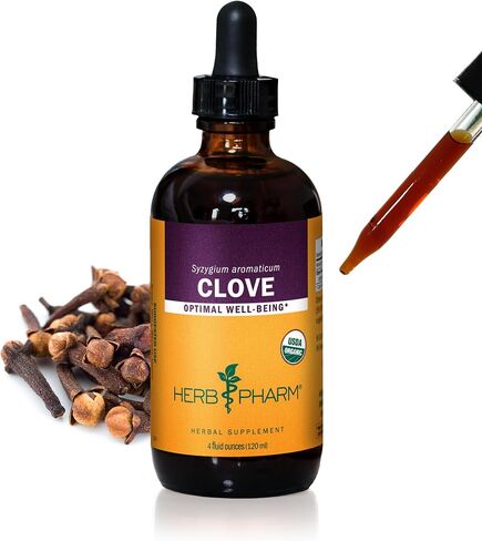 Herb Pharm Certified Organic Clove Liquid Extract - 1 Ounce in Saudi Arabia