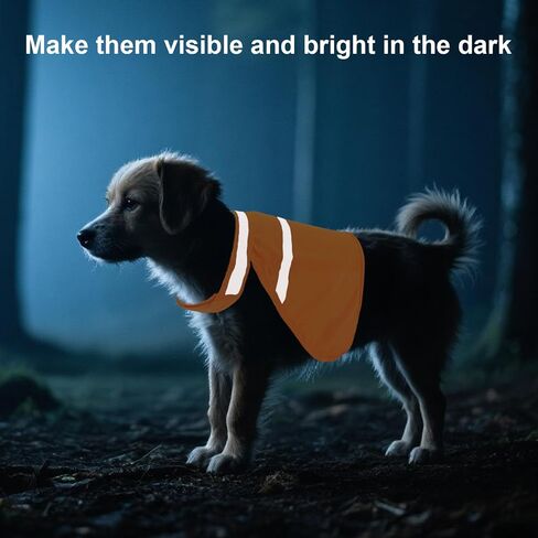 2pcs Dog Hunting Reflective Vests, Medium Size High Visibility Bright Orange Vis Dog Safety Vests Suitable Security Jacket for Outdoor Training Jogging Hunting Activities in Saudi Arabia