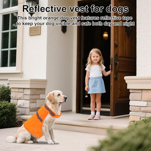 2pcs Dog Hunting Reflective Vests, Medium Size High Visibility Bright Orange Vis Dog Safety Vests Suitable Security Jacket for Outdoor Training Jogging Hunting Activities in Saudi Arabia