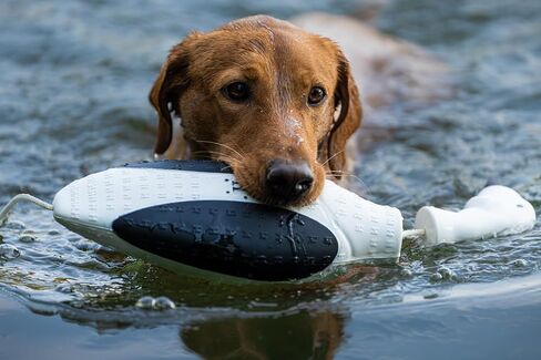 HUNTMARK Waterfowl Retriever Training Dummy - Large Dog Bumper 18.5 inch - Duck Dog Trainer Colors – Easy Hold Bumpers for Training Sporting Goose Hunters - Sturdy Hunting Accessories in Kuwait