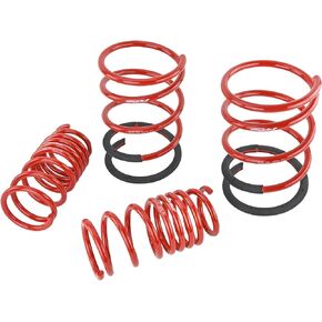 Skunk2 Racing 519-05-1670 Lowering Spring for 2002-2006 Acura RSX