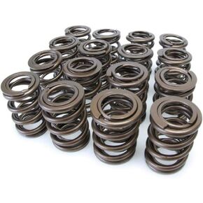 Skunk2 Racing 311-05-7380 Pro Series XP Racing Valve Spring Kit for Acura Honda K Series