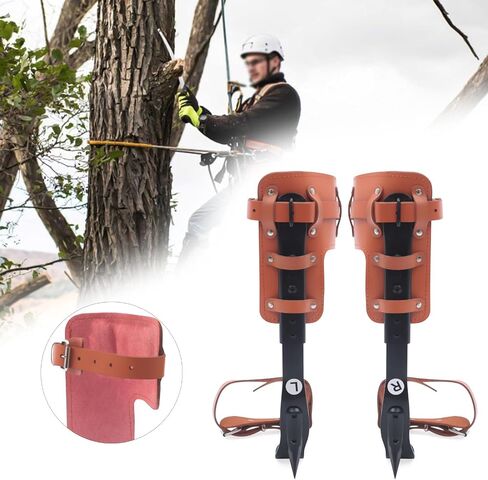 Tree Climbing Spikes,Climbing Spikes with Multi-Functional Belt, Steel Adjustable Climber Gaffs Climbing Trees Gear for Outdoor Jungle Survival Fruit Picking in Saudi Arabia