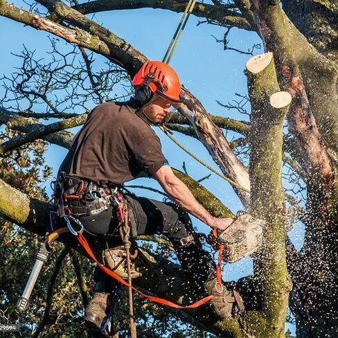 Tree Climbing Gear - Tree Climbing Spikes Suitable for Tree Work, Fruit Picking,Tree Climbing,Logging of Tree Climbing Kit in Saudi Arabia