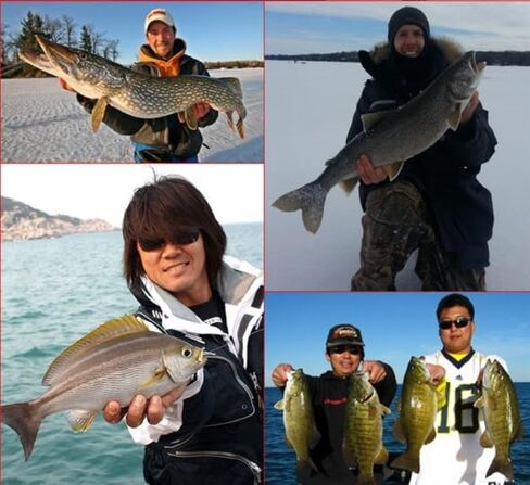 Freshwater & Saltwater Fishing Lures | Lifelike Swimbait for Bass, Trout, Crappie, Walleye, Pike, Bluegill, Salmon in Saudi Arabia