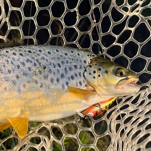 WIDDLE WOBBLER 50-Ultralight 4G Wobble Minnow Fishing Erure (50 مم)-سلسلة جرحى وغربية-HOOK الفردية الفردية-للتراوت والباس والمواصفات متعددة الأنواع in Saudi Arabia