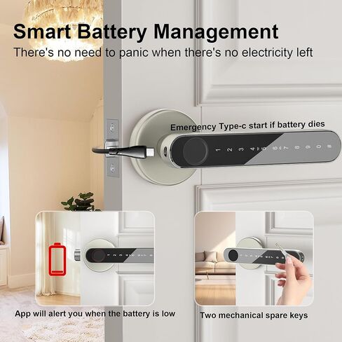 Fingerprint Door Lock,Smart Door knob,Biometric Door Lock,with passcode keypad Fobs keyless Entry Door Handle，for Bedroom Home Hotel Office Apartment (Champagne Gold with APP) in Saudi Arabia