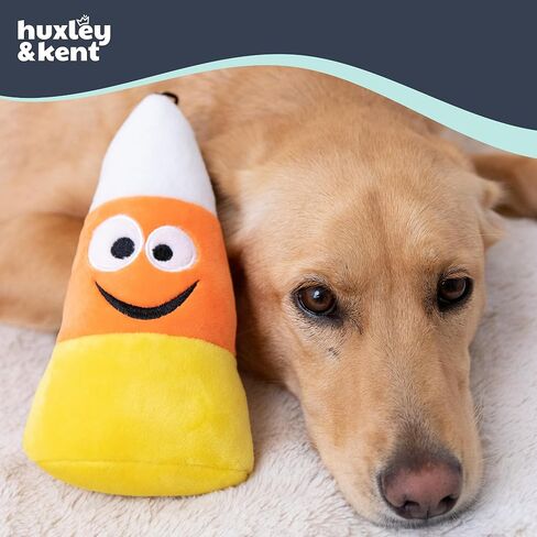 Lulubelles Power Plush | Witch's Brew | Halloween Dog Toy | Spooky, Funny Toy for Dogs | Plush Toy with Squeaker Inside | Fun, Durable, and Safe Dog Toys in Saudi Arabia