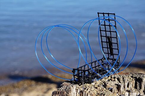 AirFly Crab Traps Accessories for Dungeness, Rock and Blue Crab (6 Loops) in Kuwait
