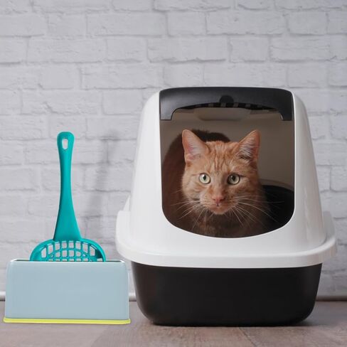 Mipcase 2pcs مغرفة مقاومة للاهتراء منزل مجرفة قاعدة مغرفة منزلية لحامل تخزين داخلي مستقر حاويات مريحة قابلة للغسل البلاستيك الحيوانات الأليفة أصحاب القمامة تقف in Kuwait