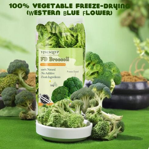 تجميد البروكلي المجفف - 100 ٪ طبيعي ، لا إضافات | 1.76oz (50g) | نباتي ، غير المعدلة وراثيا ، كيتو صديقة | مثالي لتناول الوجبات الخفيفة والتخييم والطبخ. الزهور البروكلي المجففة بالتجميد العضوي - 50g | الخضار الفردية in Saudi Arabia