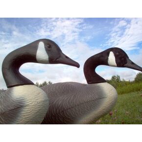 Canada Goose Decoy Head Flocking Kit - 50 Heads in Kuwait