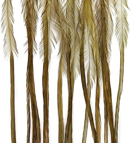 Whiting Farms 100's Dry Fly Hackle in Kuwait